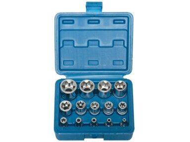 Набор головок для болтов E-Star 14 шт, 1/4"+3/8"+1/2", E4-E24