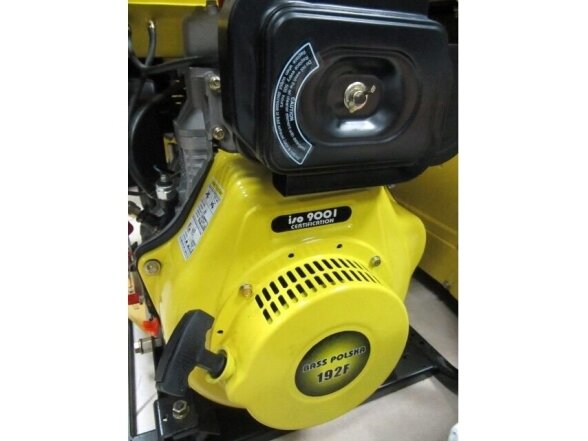 Bass Polska dyzelinis generatorius 8500W 2