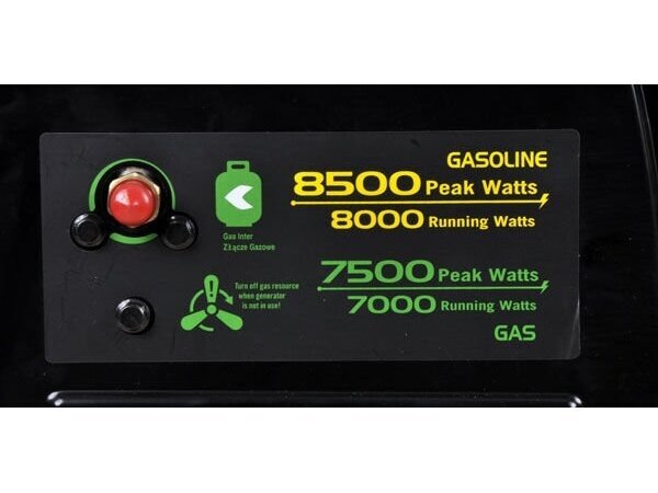Bass Polska benzininis / dujinis generatorius 230V / 400V 8