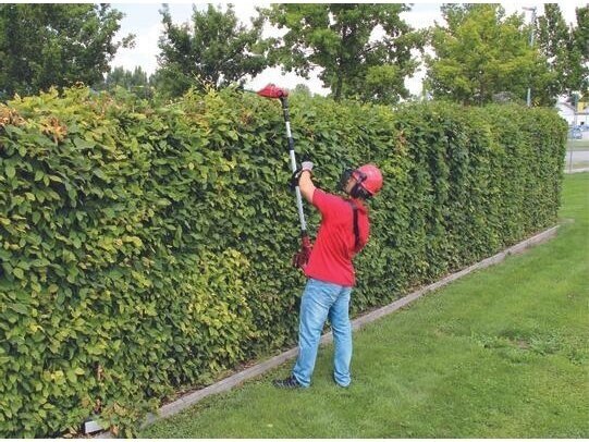 Einhell GE-HC 18 Li T-Solo cordless multifunctional pruning tool, without battery and charger 2