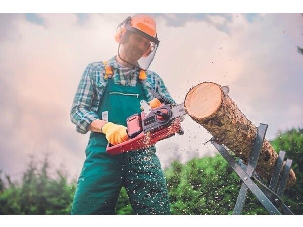 Einhell GE-LC 36/35 Li-Solo Cordless Chainsaw, without battery and charger 2 Einhell GE-LC 36/35 Li-Solo Cordless Chainsaw, without battery and charger 2