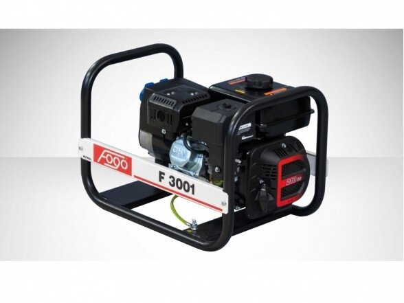 FOGO F3001 vienfazis elektros generatorius, 3 kW