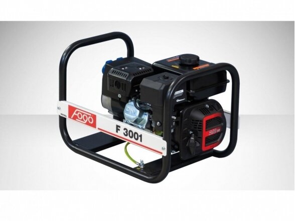 FOGO F3001 vienfazis elektros generatorius, 3 kW 1 FOGO F3001 vienfazis elektros generatorius, 3 kW 1